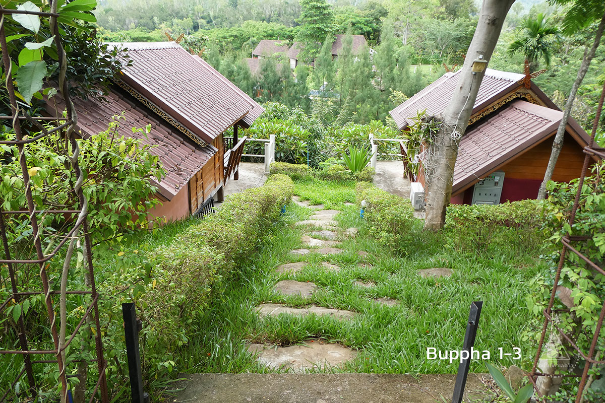 บ้านบุผผา 1, 2, และ 3 วังน้ำเขียวเลควิว ราคา 800 บาท ต่อคืน
